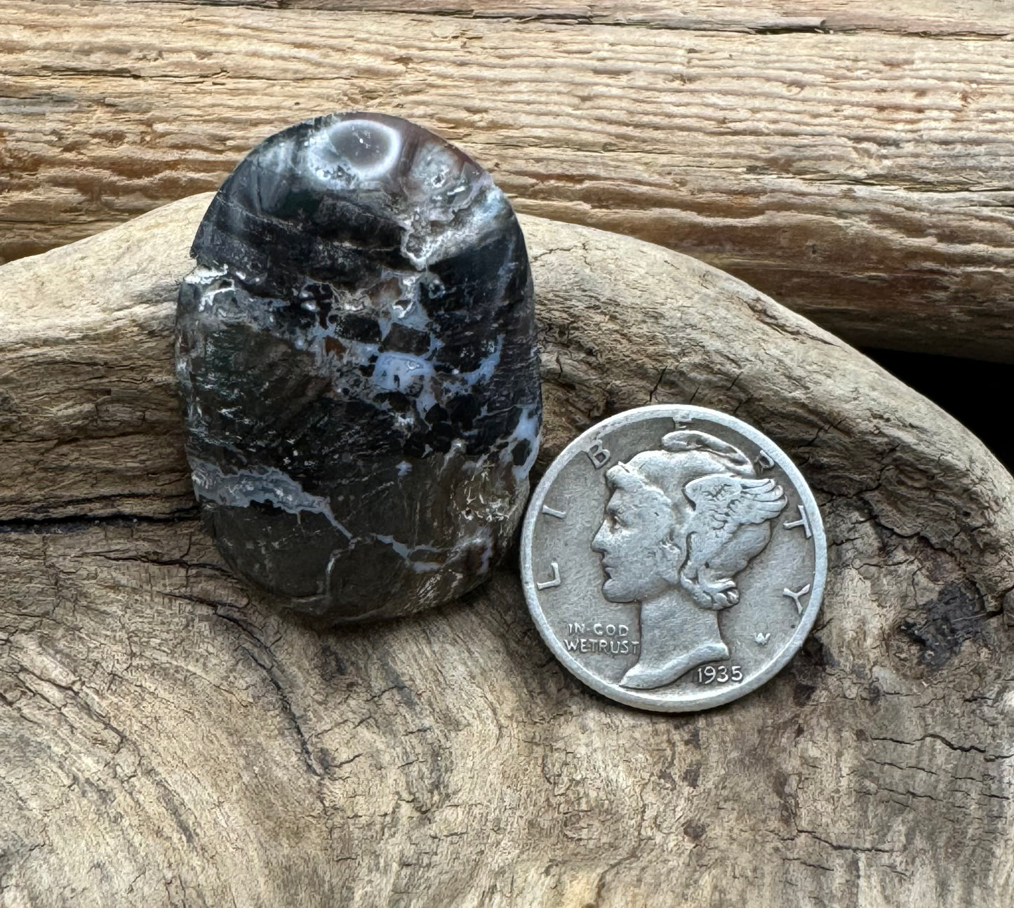 Central Utah petrified wood cabochon 