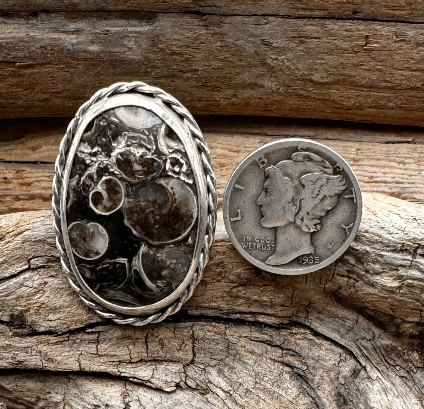 Turritella agate ring