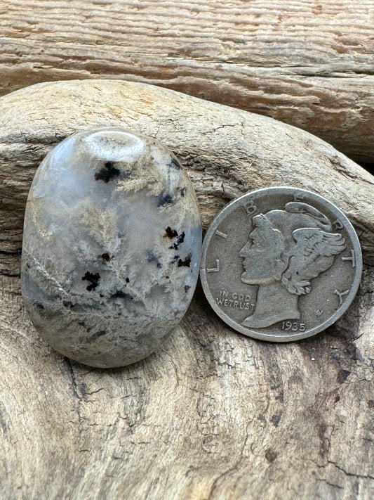 Moss agate cabochon ￼