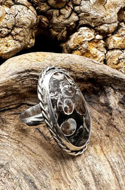 Turritella agate ring