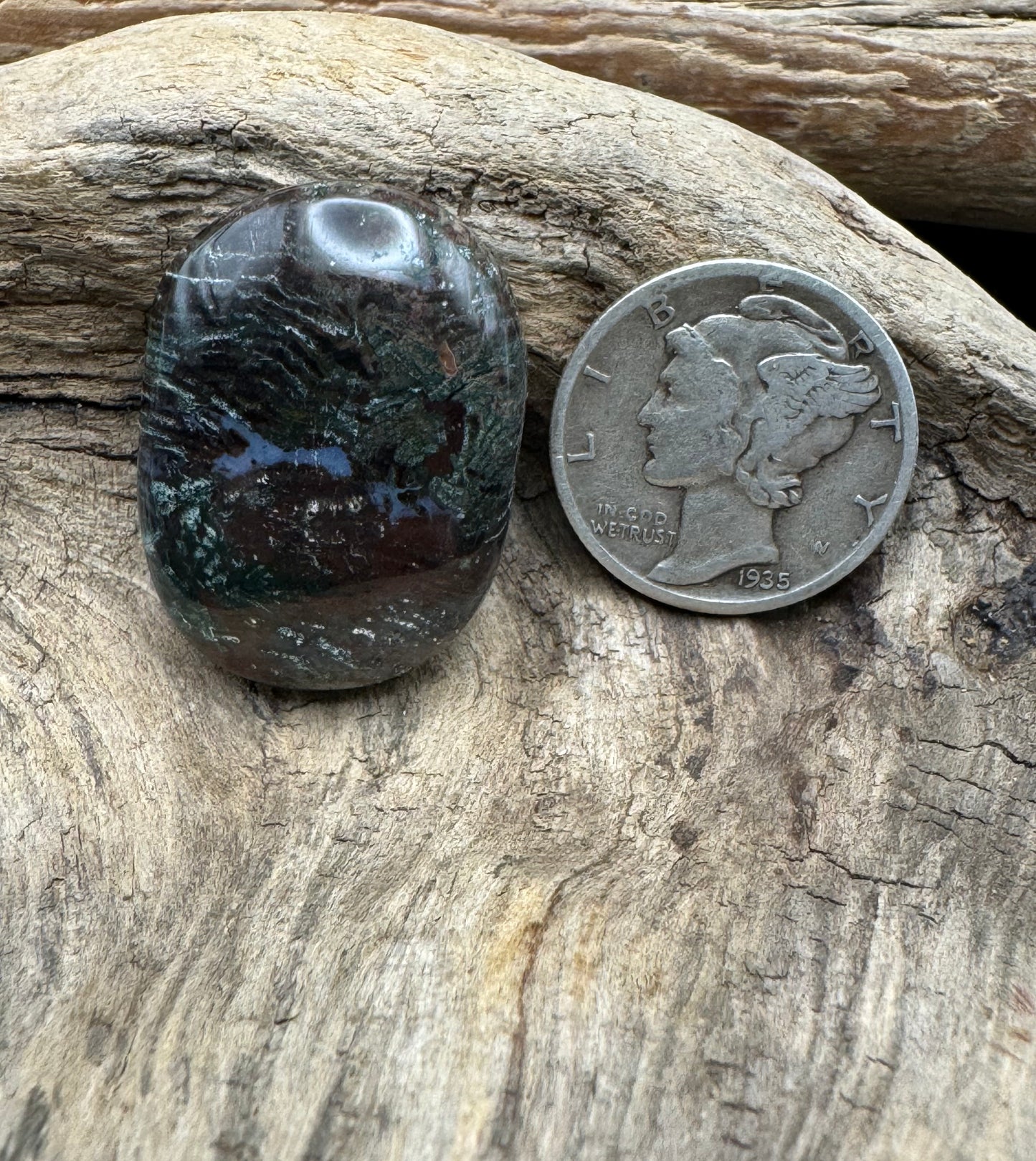 Central Utah petrified wood Cabachon ￼